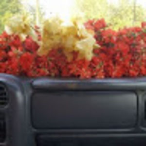 Meet your Posher, Jeff